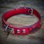 Frenchie Flair Collar Frenchie Flair Collar