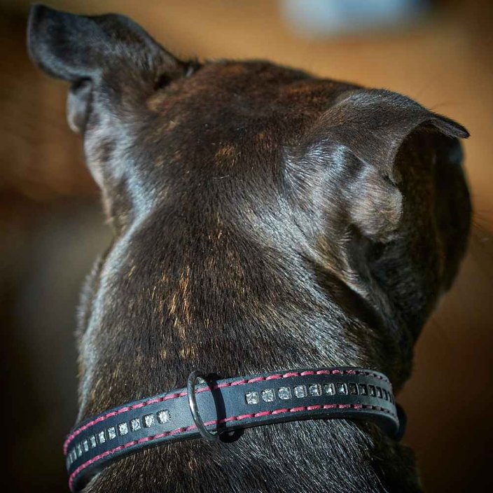 Classic Swarovski Collar