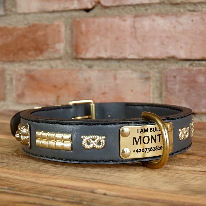 Two Heads Classic Collar