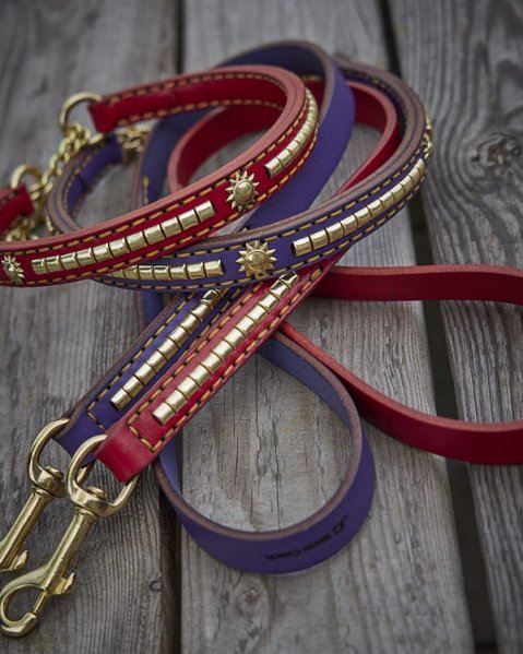 Pourquoi un collier mérite sa laisse assortie