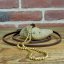 Snake Show Collars