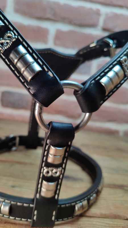 Comment fabrique-t-on un harnais pour chien chez Slade Czech ?