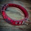 Frenchie Flair Collar Frenchie Flair Collar