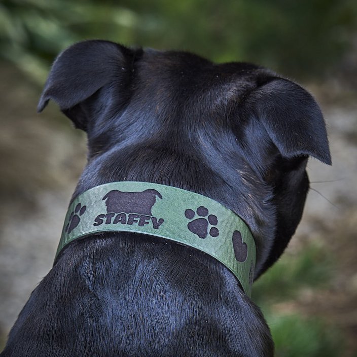 Classic Custom Coinage Collar