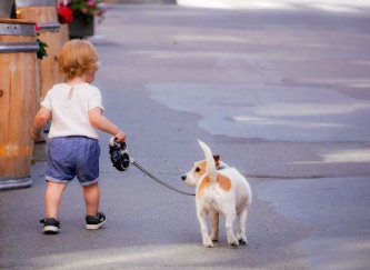Enfant et chien à la maison : des règles sûres, pas des contes de fées