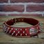Hardcore Collar Hardcore Collar