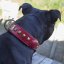 Collier classique Ghost Tracker