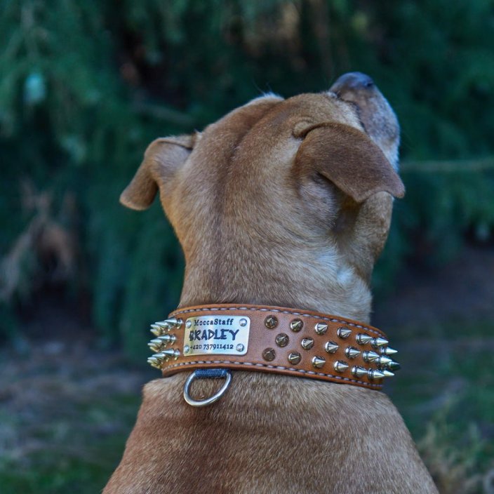 Hardcore Collar Hardcore Collar