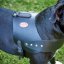 Britannia Leather Dog Harness