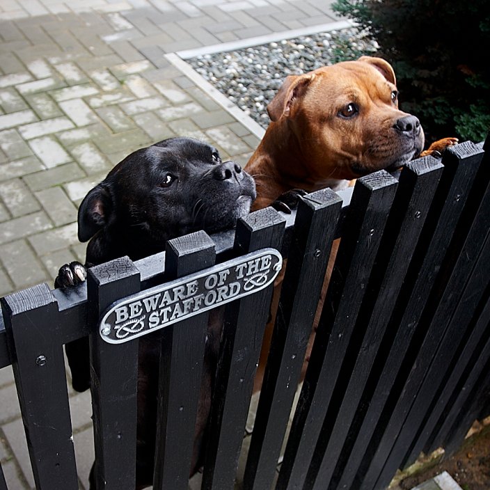 Dog Warning Sign Dog Warning Sign