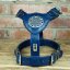 My Hero Harness My Hero Harness