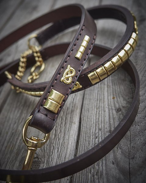 Pourquoi un collier mérite sa laisse assortie