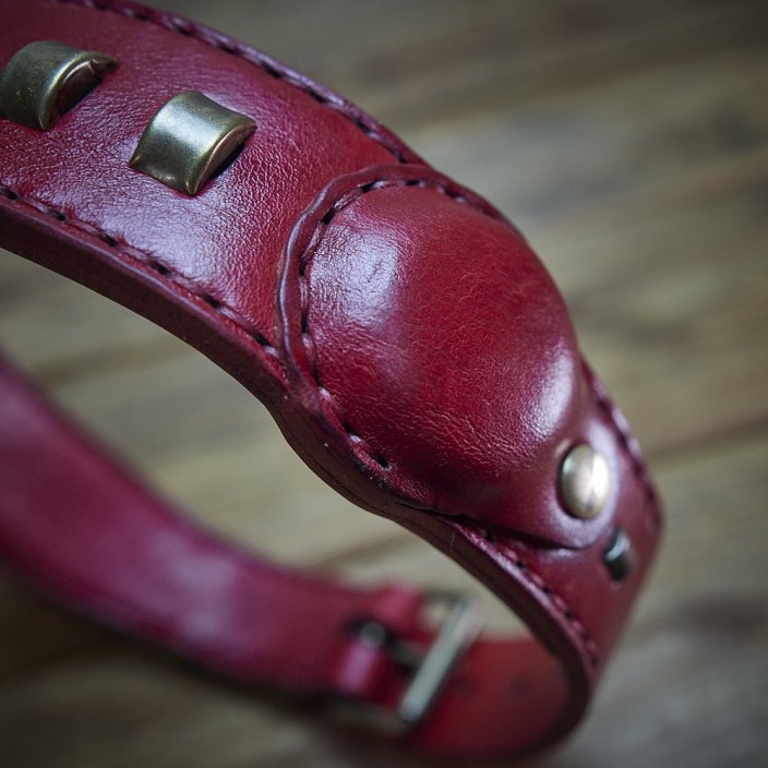 Classic Ghost Tracker Collar