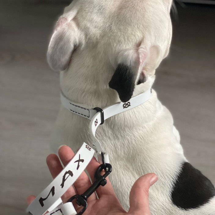 Fargo Set of Lead and Collar