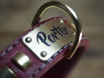 Comment repérer un vrai collier en cuir