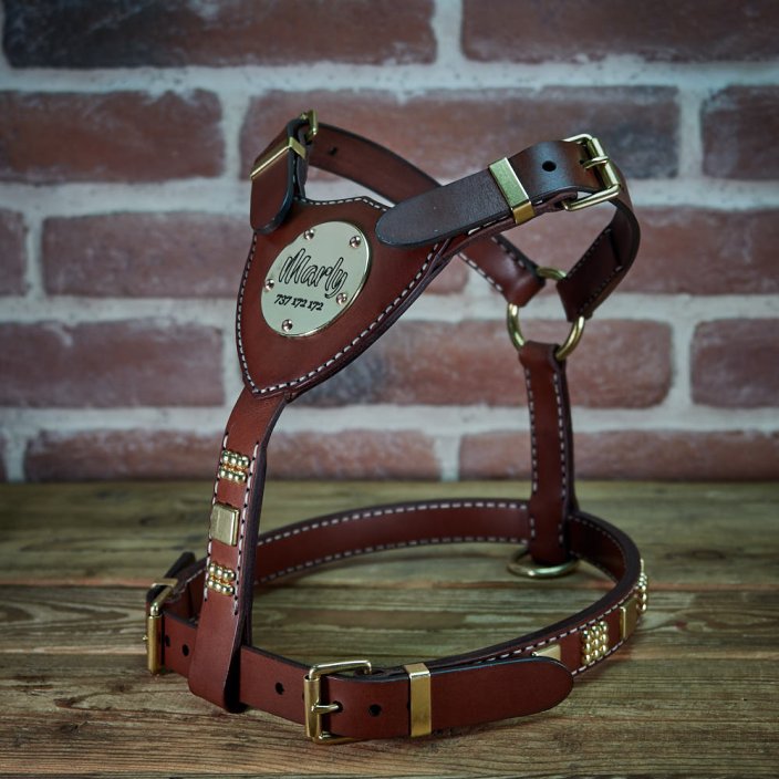 Gladiator Harness Gladiator Harness