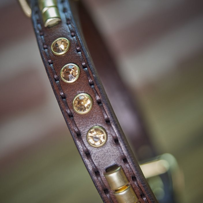 Shiny Alpha Classic Collar