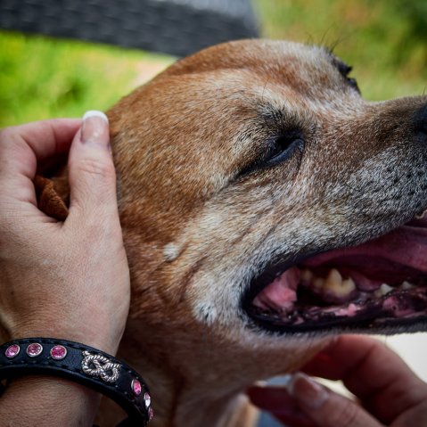 Bracelets en cuir Slade Czech : pièces cousues main avec ton propre style