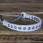 Swarovski Puppy Collar and Lead Set Slade Czech Swarovski Puppy Collar and Lead Set Slade Czech