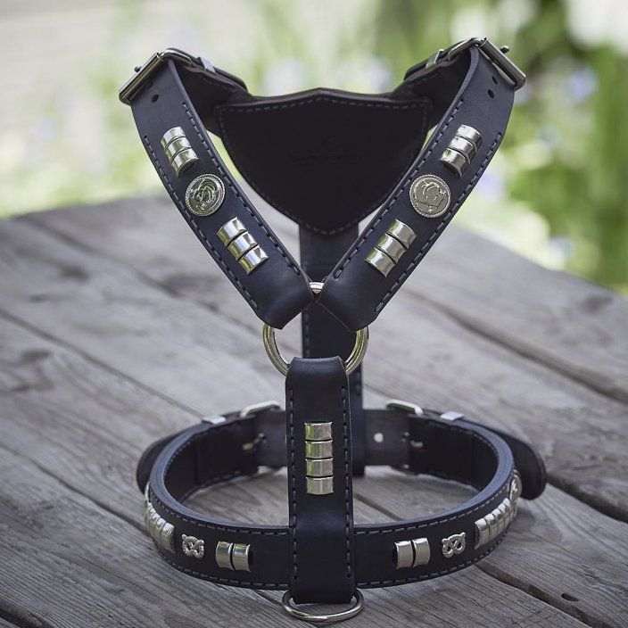 My Hero Harness
