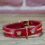 Explorer Classic Collar Explorer Classic Collar