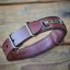 Renegade Classic Collar