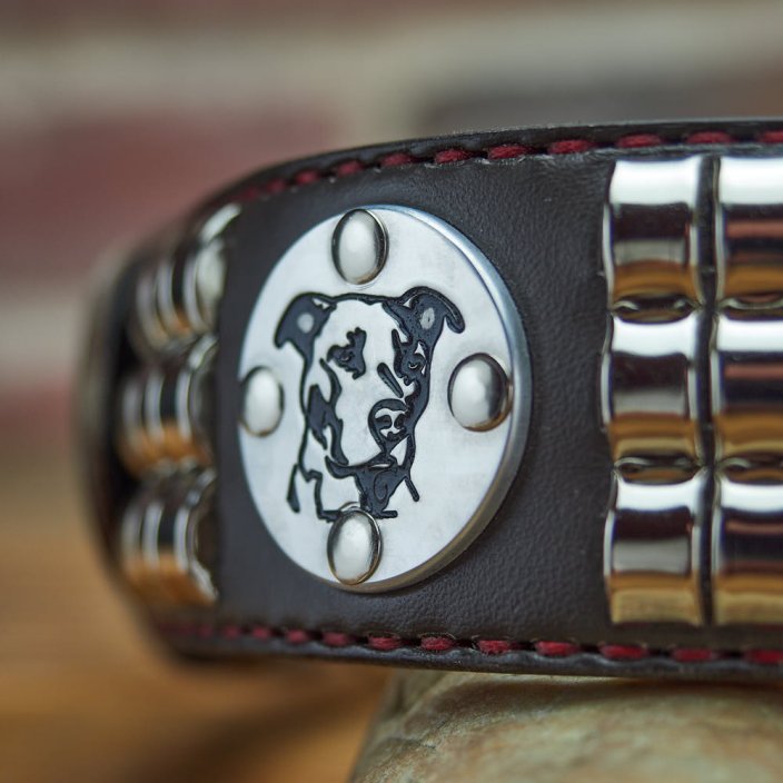 Bandit Classic Collar Bandit Classic Collar