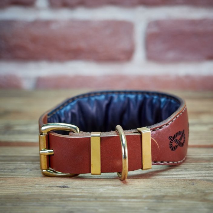Classic Jolly Jumper Collar Classic Jolly Jumper Collar