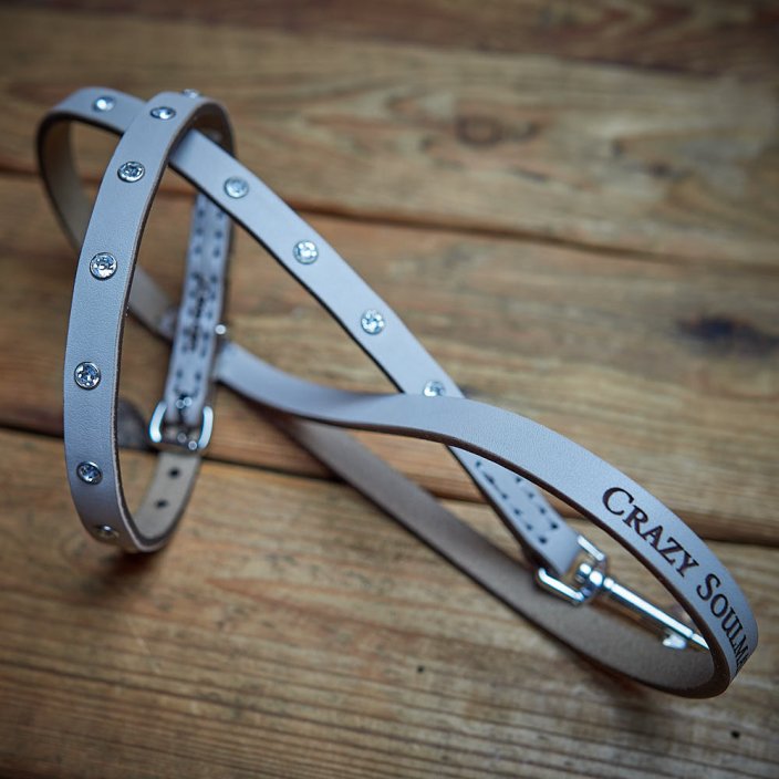 Collar and leash set Spark Band