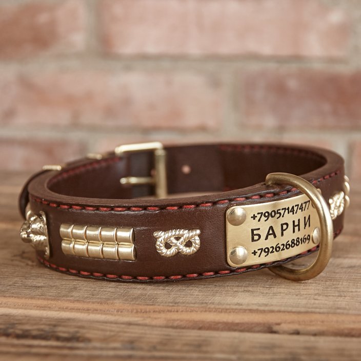 Two Heads Classic Collar