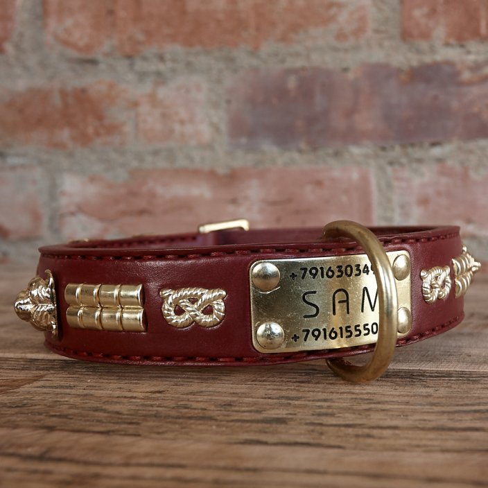 Two Heads Classic Collar