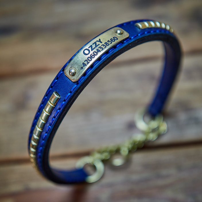 Rattlesnake Half Check Collar