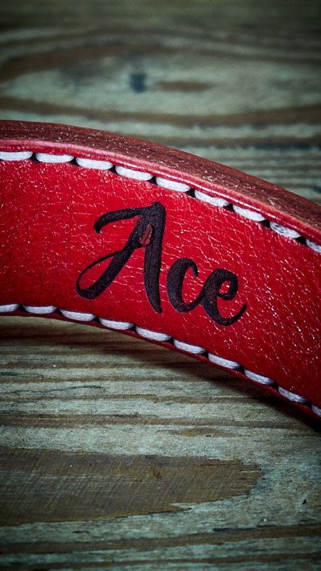 personalised dog collars