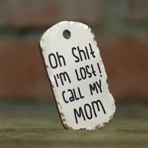 5 reasons why your dog needs a tag—even with a microchip 5 reasons why your dog needs a tag—even with a microchip