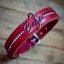 Classic Shine Paw Collar Classic Shine Paw Collar