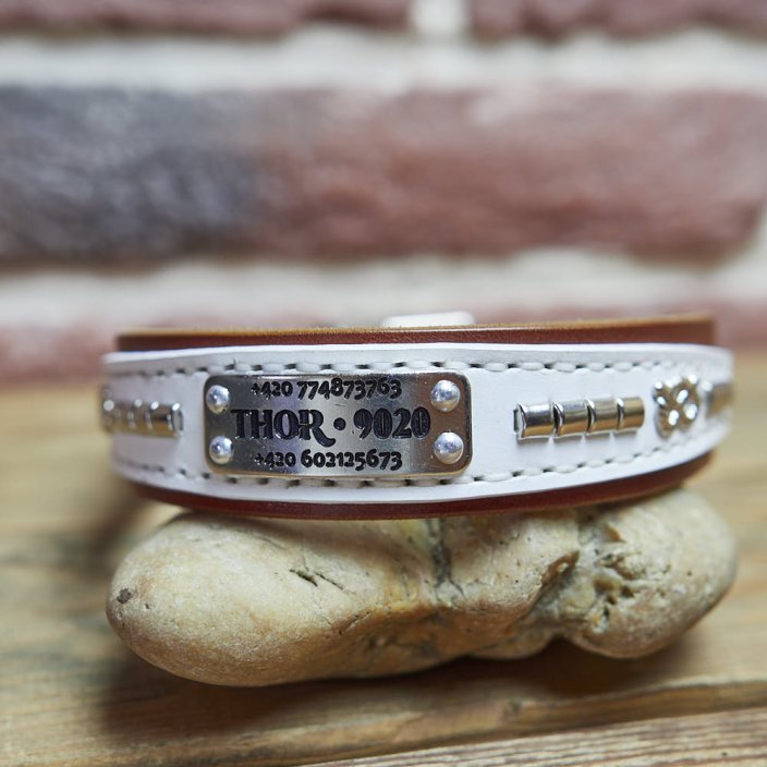 Funky Paws Classic Collar Funky Paws Classic Collar