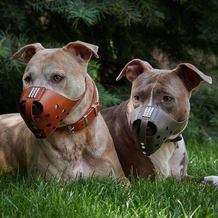 Whisper Muzzle