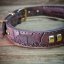 Frenchie Flair Collar Frenchie Flair Collar