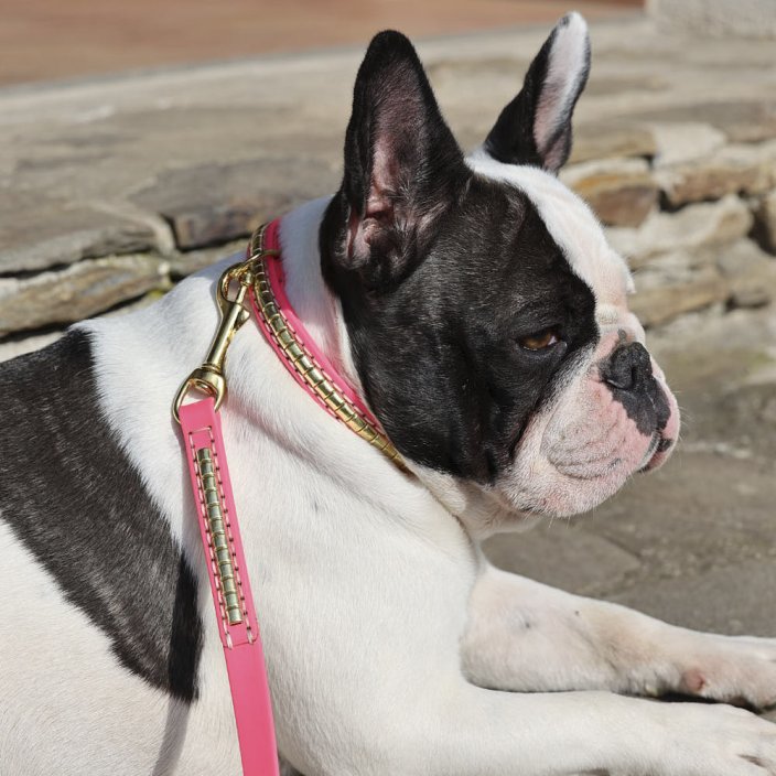 Django Collar Kaytech