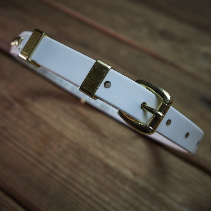 Prestige Kaytech Collar