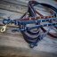 Collar and leash set Glitter Strap Collar and leash set Glitter Strap