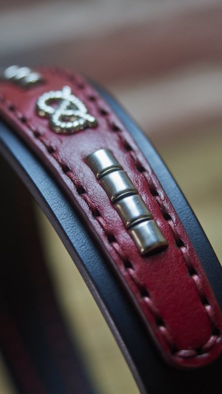 Comment repérer un vrai collier en cuir