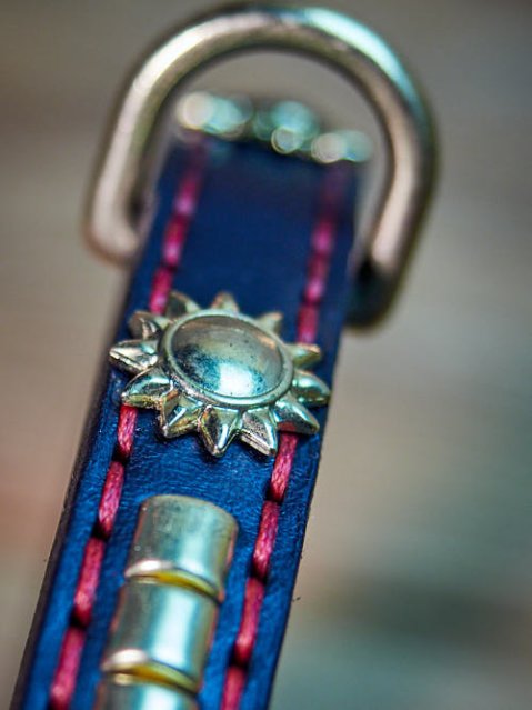 How is a Masterpiece Collar Born for Your Staffy?