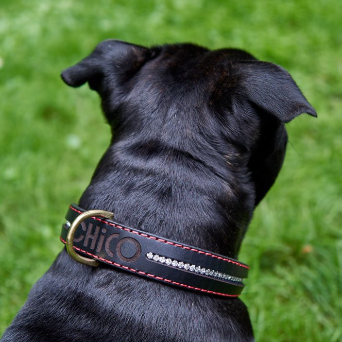 Classic Shine Paw Collar Classic Shine Paw Collar