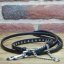 Swarovski Puppy Collar and Lead Set Slade Czech Swarovski Puppy Collar and Lead Set Slade Czech