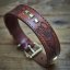 Frenchie Flair Collar Frenchie Flair Collar