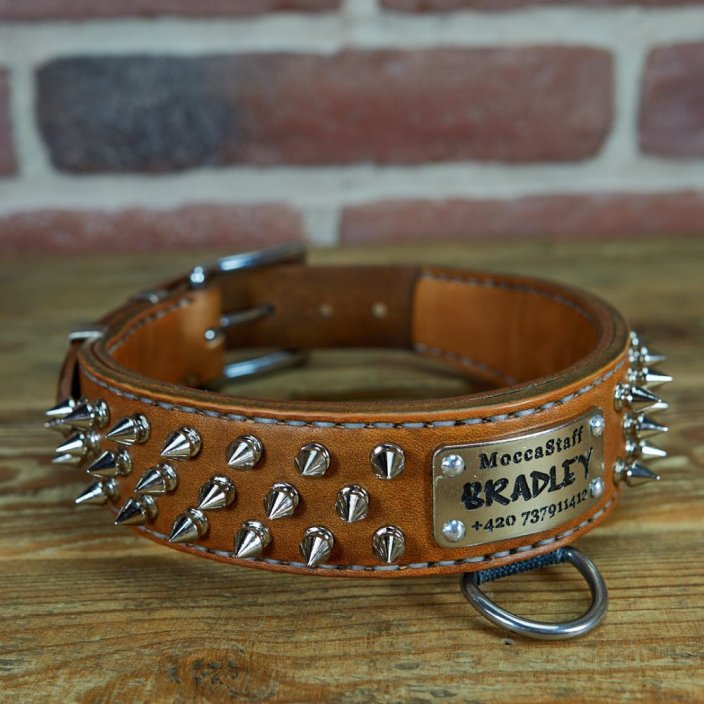 Hardcore Collar Hardcore Collar