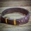 Frenchie Flair Collar Frenchie Flair Collar