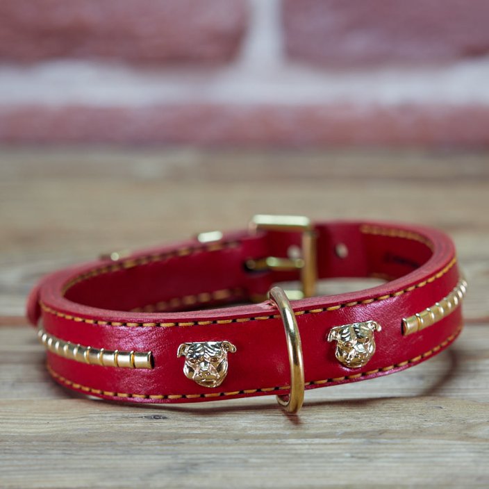 Explorer Classic Collar Explorer Classic Collar