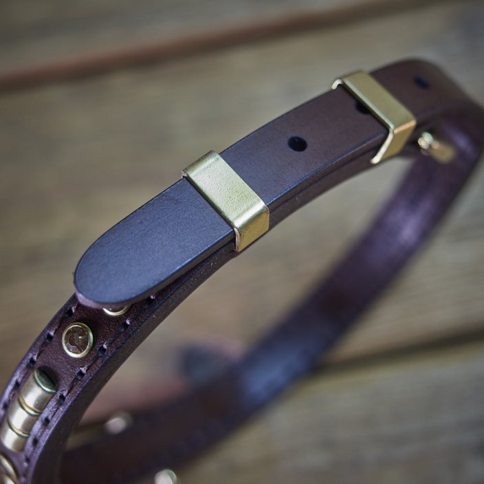 Shiny Alpha Classic Collar